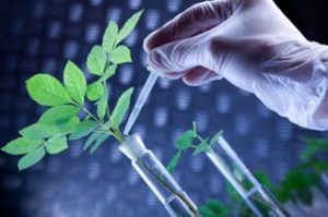 <span class="entry-title-primary">Global Agricultural Biotechnology Market | Growth, Trends, Sales Strategy</span> <span class="entry-subtitle">Global Agricultural Biotechnology Market | Growth, Trends, Sales Strategy </span>