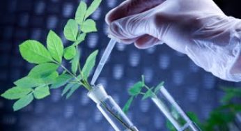 Global Agricultural Biotechnology Market | Growth, Trends, Sales Strategy