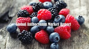 <span class="entry-title-primary">Anthocyanin Market Size, Share and Analysis | Forecast Report by 2024</span> <span class="entry-subtitle">Global Anthocyanin Market Report</span>