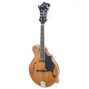 <span class="entry-title-primary">Bass Mandolin Market Size, Growth, Share, Supply, Demand, Segments and Forecast 2019-2025</span> <span class="entry-subtitle">Global Bass Mandolin Market Report</span>