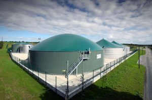 <span class="entry-title-primary">Global Biogas Plants Market – Global Industry Growth, Trends</span> <span class="entry-subtitle">Global Biogas Plants Market – Global Industry Growth, Trends</span>