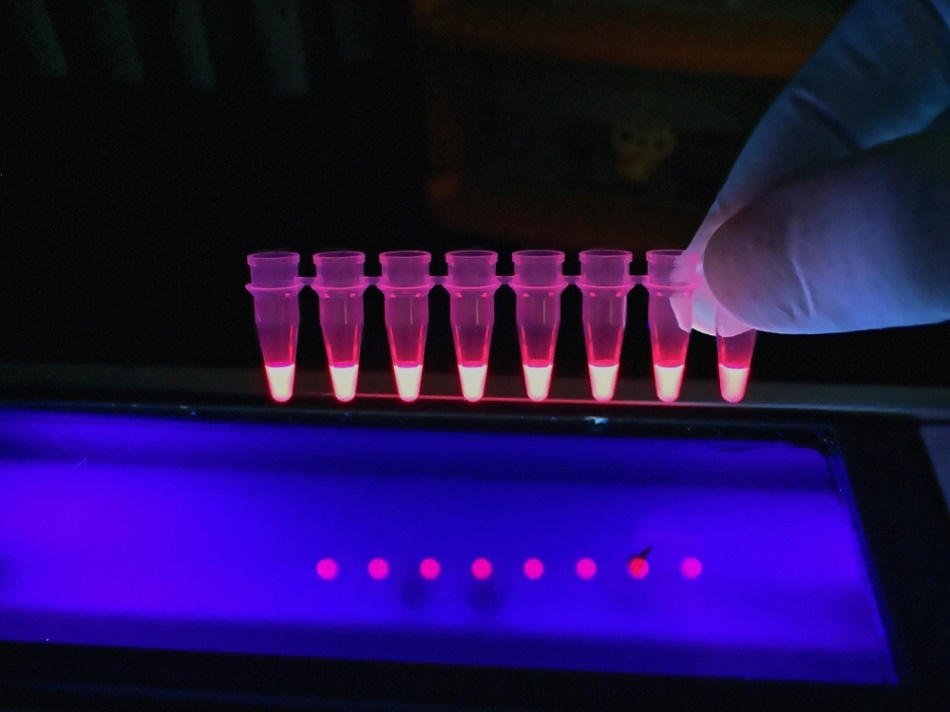 <span class="entry-title-primary">Fluorescence Spectroscopy Market Analysis by Region and Future Trends till 2024</span> <span class="entry-subtitle">Global Fluorescence Spectroscopy Market Report</span><span class="rating-result after_title mr-filter rating-result-36386">			<span class="no-rating-results-text">No ratings yet.</span>		</span>