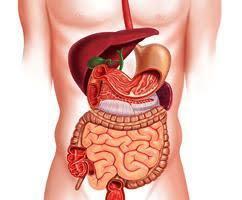 <span class="entry-title-primary">Gastrointestinal Drugs Market By Service, Polymer Type and Source</span> <span class="entry-subtitle">Gastrointestinal Drugs Market By Service, Polymer Type and Source</span><span class="rating-result after_title mr-filter rating-result-35466">			<span class="no-rating-results-text">No ratings yet.</span>		</span>