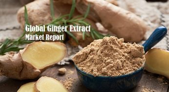 Ginger Extract Market By Types, Benefits, Demand, Uses, Consumption and Forecast till 2024