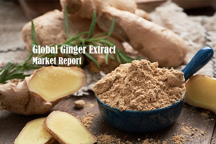 <span class="entry-title-primary">Ginger Extract Market By Types, Benefits, Demand, Uses, Consumption and Forecast till 2024</span> <span class="entry-subtitle">Global Ginger Extract Market Report</span><span class="rating-result after_title mr-filter rating-result-37586">			<span class="no-rating-results-text">No ratings yet.</span>		</span>