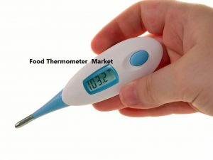 Food Thermometer Market Analysis by Sales, Price, Revenue, Share 2024 | Planet Market Reports