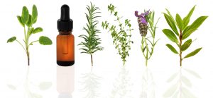 <span class="entry-title-primary">Herb Essential Oil Market | Growth, Trends, Sales Strategy, Revenue Generation</span> <span class="entry-subtitle">Herb Essential Oil Market | Growth, Trends, Sales Strategy, Revenue Generation</span>