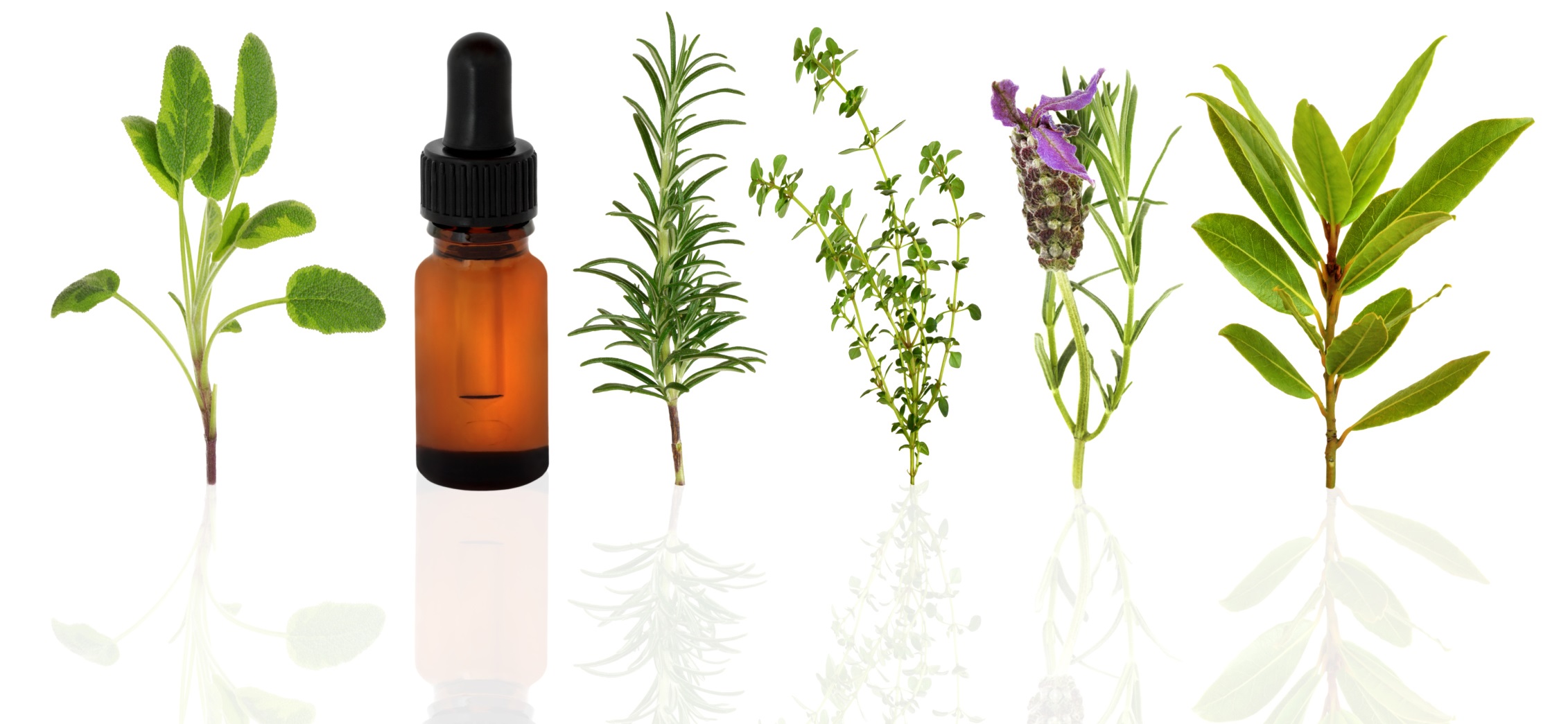 <span class="entry-title-primary">Herb Essential Oil Market | Growth, Trends, Sales Strategy, Revenue Generation</span> <span class="entry-subtitle">Herb Essential Oil Market | Growth, Trends, Sales Strategy, Revenue Generation</span><span class="rating-result after_title mr-filter rating-result-35482">			<span class="no-rating-results-text">No ratings yet.</span>		</span>