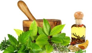 <span class="entry-title-primary">Herbal Extracts  Market, Sales Strategy, Revenue Generation, Key Players</span> <span class="entry-subtitle">Herbal Extracts  Market, Sales Strategy, Revenue Generation, Key Players</span>