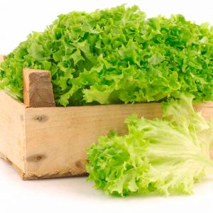 <span class="entry-title-primary">Global Lettuce Seeds  Market Revenue by Manufacturers, Production</span> <span class="entry-subtitle">Global Lettuce Seeds  Market Revenue by Manufacturers, Production</span>