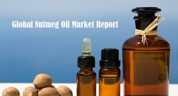Nutmeg Oil Market Report | Global Industry Analysis and Forecast by 2024