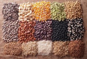 <span class="entry-title-primary">Global Organic Seeds Market-Industry Share, Growth, Trends, Analysis</span> <span class="entry-subtitle">Global Organic Seeds Market-Industry Share, Growth, Trends, Analysis</span>