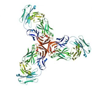 <span class="entry-title-primary">Global Palivizumab Market-Industry Share, Growth, Trends, Analysis, Size</span> <span class="entry-subtitle">Global Palivizumab Market-Industry Share, Growth, Trends, Analysis, Size </span>