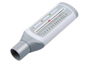 <span class="entry-title-primary">Peak Flow Meter Market Key Players, Trends, Share, Industry Size, Growth</span> <span class="entry-subtitle">Global Peak Flow Meter Market Report</span>