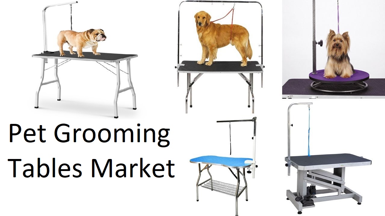 Pet Grooming Tables Market Size, Share, Supply and Forecast 2019-2025<span class="rating-result after_title mr-filter rating-result-36124">			<span class="no-rating-results-text">No ratings yet.</span>		</span>