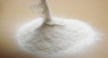 Pregelatinized starch Market Share, Growth Forecast- Global Industry Outlook
