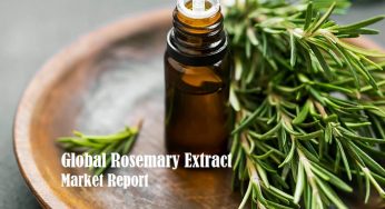 Rosemary Extract Market Analysis by Product Types, Applications, Market Competition and Industry Forecast by 2024