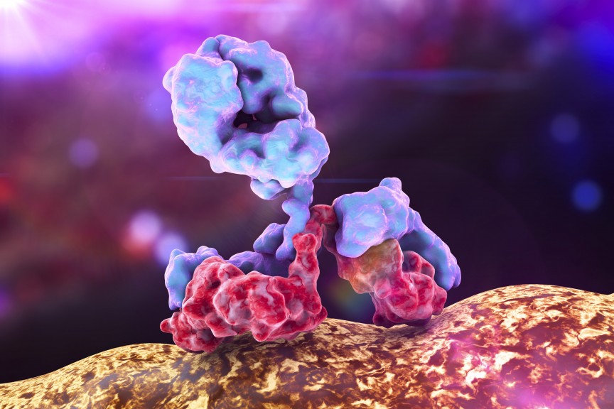 <span class="entry-title-primary">Global Siltuximab Market size, country level shares, major</span> <span class="entry-subtitle">Global Siltuximab Market size, country level shares, major</span><span class="rating-result after_title mr-filter rating-result-36360">			<span class="no-rating-results-text">No ratings yet.</span>		</span>