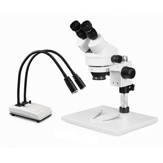 <span class="entry-title-primary">Stereo Microscope Market Overview and Forecast by Trend, Vendors, Types and Application</span> <span class="entry-subtitle">Global Stereo Microscope Market Report</span><span class="rating-result after_title mr-filter rating-result-37215">			<span class="no-rating-results-text">No ratings yet.</span>		</span>