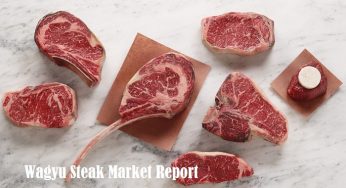 Wagyu Steak Market Growth, Trends, Types, Regional Demand and Forecast Report by 2024