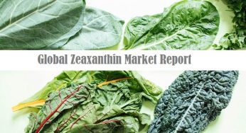 Zeaxanthin Market | Latest News | Market Insights | Business Plan | Forecast by 2024