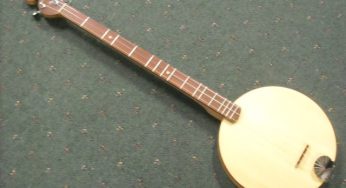 Banjo Dulcimer Market Trends, Drivers, Strategies, Applications