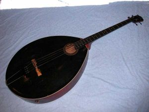 <span class="entry-title-primary">Bass Mandolin Market Global Insight 2019 |  Growth Factors, Applications</span> <span class="entry-subtitle">Global Bass Mandolin Market Report</span>