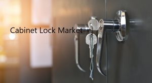 Cabinet Lock Market | Smart Lock Market Forecast 2019-2024 by PMR