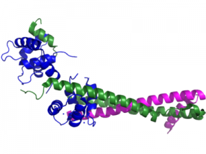 <span class="entry-title-primary">Cardiac Troponin market Insight, Analysis and Market Forecast</span> <span class="entry-subtitle">Global Cardiac Troponin market Report</span>