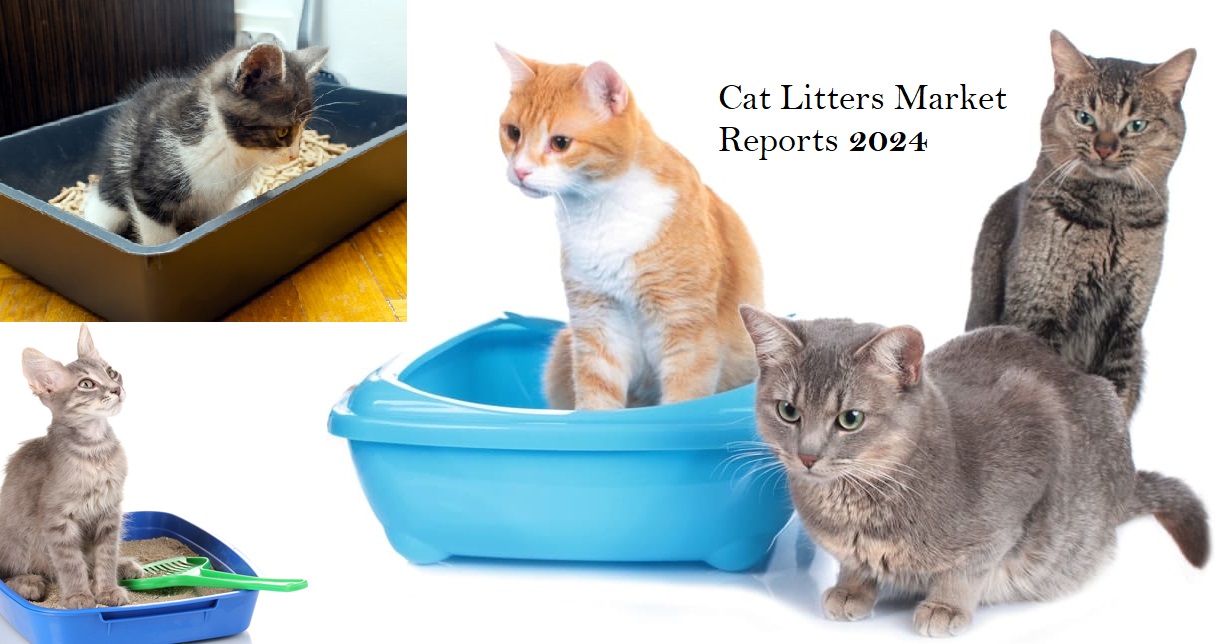 Cat Litters Market Size, Share, Growth, Price, Trend, Analysis Forecast<span class="rating-result after_title mr-filter rating-result-38324">			<span class="no-rating-results-text">No ratings yet.</span>		</span>