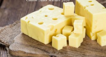 Cheese Sales Market is projected to reach USD 170.6 Billion by 2026 | Business Research Reports