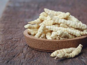 <span class="entry-title-primary">Cordyceps Supplement Market Share, Growth, Trends and Forecast 2019-2024</span> <span class="entry-subtitle">Global Cordyceps Supplement Market Report</span>