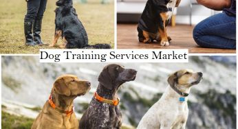 Best Dog Training Services Market | Working Dogs and Pet Dogs by Planet