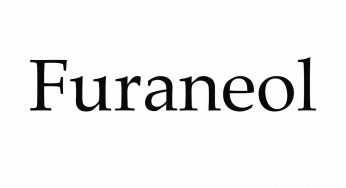 Furaneol Market Applications, Trends and Forecasts to 2024