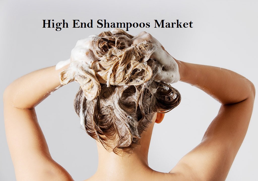 <span class="entry-title-primary">High End Shampoos Market Size, Share, Industry Growth Analysis 2026</span> <span class="entry-subtitle">High End Shampoos Breakdown Data by Type Oily Hair Shampoo, Dry Damaged Hair Shampoo, Colored Hair Shampoo, 2-in-1 Shampoo, Deep Cleaning Shampoo and Others</span><span class="rating-result after_title mr-filter rating-result-38705">	<span class="mr-star-rating">			    <i class="fa fa-star mr-star-full"></i>	    	    <i class="fa fa-star mr-star-full"></i>	    	    <i class="fa fa-star mr-star-full"></i>	    	    <i class="fa fa-star mr-star-full"></i>	    	    <i class="fa fa-star mr-star-full"></i>	    </span><span class="star-result">	5/5</span>			<span class="count">				(1)			</span>			</span>