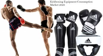 kickboxing tools