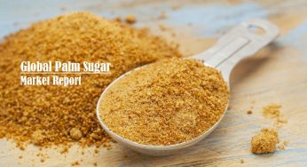 Palm Sugar Market Size | Business Scope | Top Manufacturers | Trends and Forecast to 2026