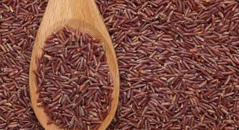 Red Rice Red Market | Red Rice Market | Industry Outlook and Growth by 2024