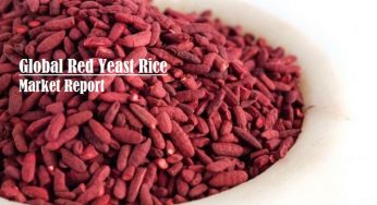 Red Yeast Rice Market Size, Share and Analysis | Forecast Report by 2026