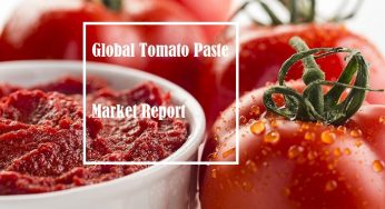 Tomato Paste Market Size and Share | 2019-2024
