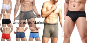 Underpants Market | Underwear Market For Man and Women