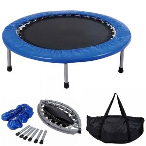 <span class="entry-title-primary">Adult Trampoline Market Global Industry – Key Players, Size, Trends</span> <span class="entry-subtitle">Global Adult Trampoline Market Report</span>