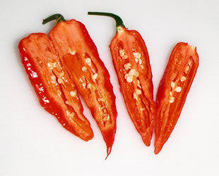 <span class="entry-title-primary">Global Chili Seeds Market Revenue by Manufacturers, Production</span> <span class="entry-subtitle">Global Chili Seeds Market By Service</span><span class="rating-result after_title mr-filter rating-result-41132">			<span class="no-rating-results-text">No ratings yet.</span>		</span>