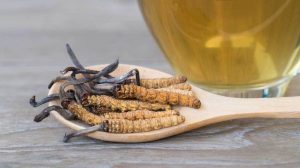 <span class="entry-title-primary">Cordyceps Market Applications, Regional Analysis, Key Players and Forecasts</span> <span class="entry-subtitle">Global Cordyceps Market Report</span>