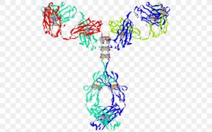 <span class="entry-title-primary">Gamma Globulin Market Global Trends, Growth, And Forecast 2026</span> <span class="entry-subtitle">Global Gamma Globulin Market Report</span>