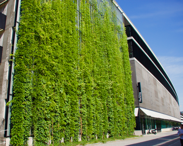 <span class="entry-title-primary">Global Green Walls Market Revenue by Manufacturers, Production</span> <span class="entry-subtitle">Global Green Walls Market - Industry</span><span class="rating-result after_title mr-filter rating-result-42291">	<span class="mr-star-rating">			    <i class="fa fa-star mr-star-full"></i>	    	    <i class="fa fa-star mr-star-full"></i>	    	    <i class="fa fa-star mr-star-full"></i>	    	    <i class="fa fa-star mr-star-full"></i>	    	    <i class="fa fa-star mr-star-full"></i>	    </span><span class="star-result">	5/5</span>			<span class="count">				(1)			</span>			</span>