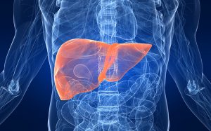 <span class="entry-title-primary">Nonalcoholic Steatohepatitis NASH Market Segmentation, Opportunities and Forecast</span> <span class="entry-subtitle">Global Nonalcoholic Steatohepatitis NASH Market Report</span>