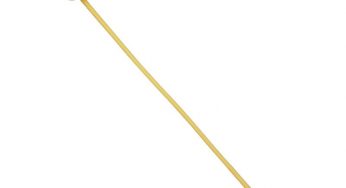 Balloon Catheter Market Insights, Analysis, Opportunities, Segmentation
