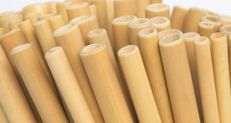 <span class="entry-title-primary">Global Bamboo Straw Market  Sales, Size, Analysis, Share</span> <span class="entry-subtitle">Global Bamboo Straw Market Sales</span><span class="rating-result after_title mr-filter rating-result-9859">			<span class="no-rating-results-text">No ratings yet.</span>		</span>