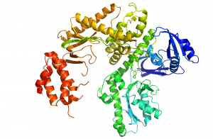 <span class="entry-title-primary">Poly Polymerase 2 Market Key Opportunity, Application And Forecast</span> <span class="entry-subtitle">Global Poly Polymerase 2 Market Report</span>